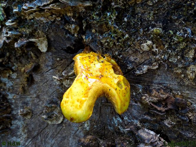 Leijpark013 23 &amp; 24 &amp; 25 &amp; 26 mei 2022