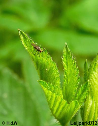 Leijpark013 23 &amp; 24 &amp; 25 &amp; 26 mei 2022