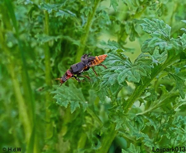 Leijpark013 23 &amp; 24 &amp; 25 &amp; 26 mei 2022