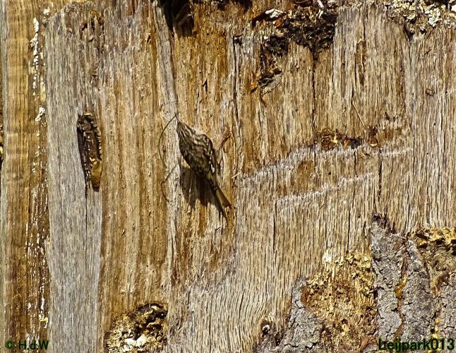 Leijpark013 23 &amp; 24 &amp; 25 &amp; 26 mei 2022