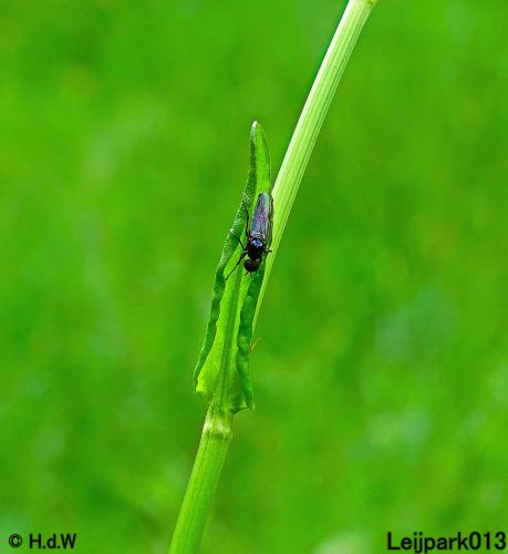 Leijpark013 23 &amp; 24 &amp; 25 &amp; 26 mei 2022