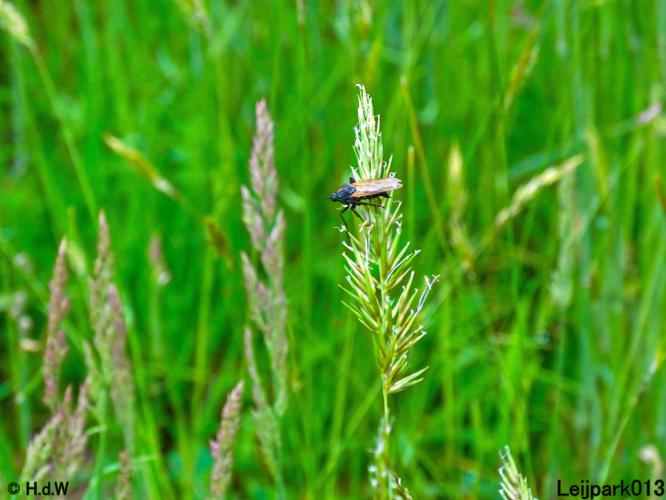 Leijpark013 23 &amp; 24 &amp; 25 &amp; 26 mei 2022