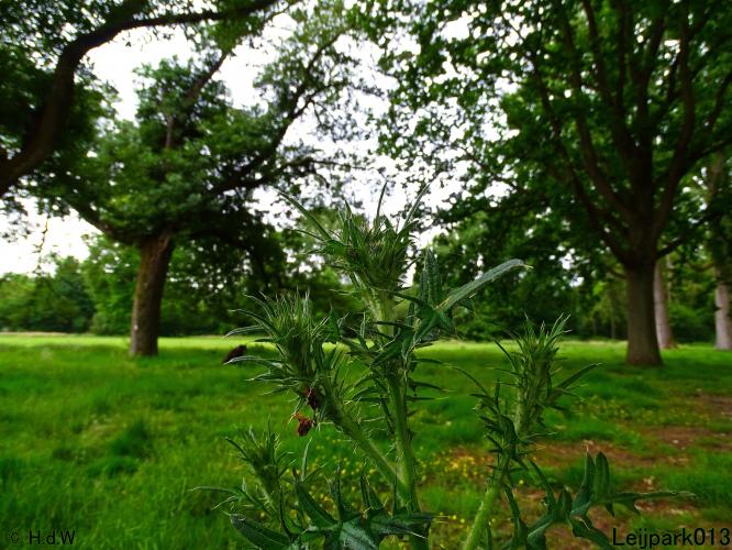 Leijpark013 23 &amp; 24 &amp; 25 &amp; 26 mei 2022