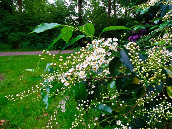 Leijpark013 23 &amp; 24 &amp; 25 &amp; 26 mei 2022