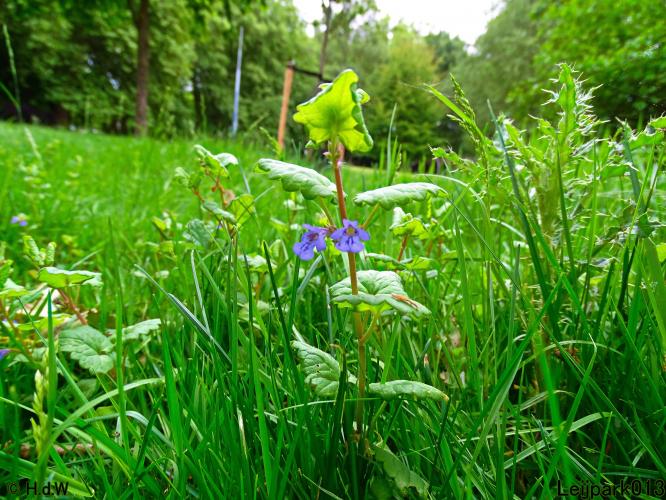 Leijpark013 23 &amp; 24 &amp; 25 &amp; 26 mei 2022