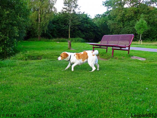 Leijpark013 Beestenboel 15 juni 2022