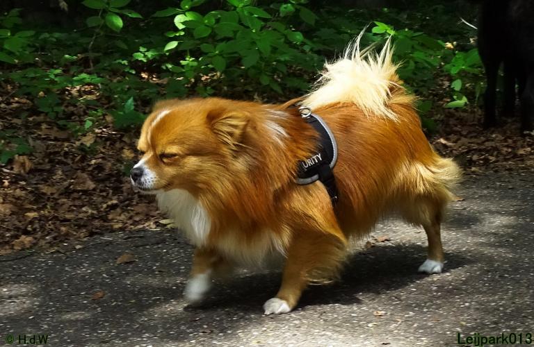 Leijpark013 Beestenboel 15 juni 2022