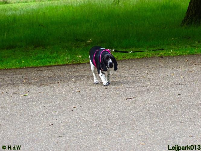 Leijpark013 Beestenboel 15 juni 2022