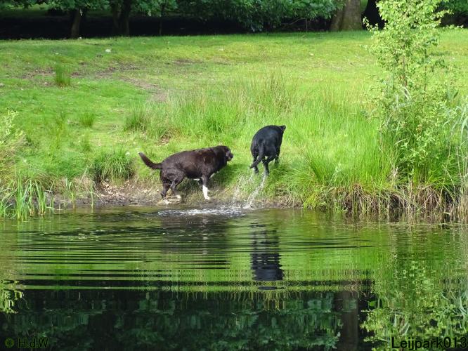 Leijpark013 Beestenboel 15 juni 2022