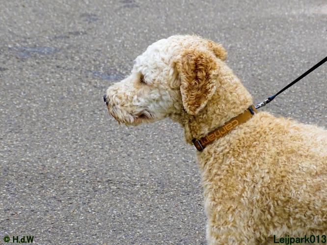 Leijpark013 Beestenboel 15 juni 2022