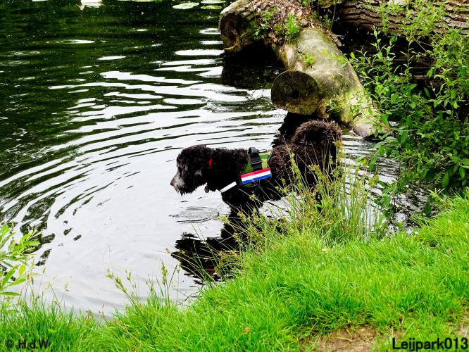 Leijpark013 Beestenboel 15 juni 2022