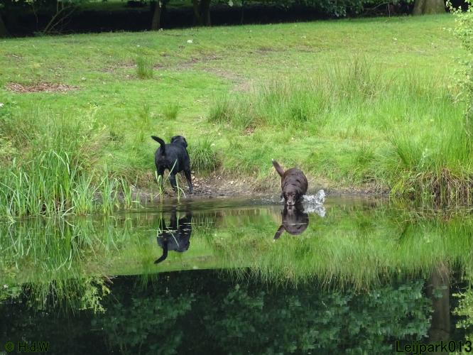 Leijpark013 Beestenboel 15 juni 2022