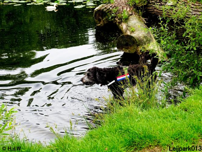 Leijpark013 Beestenboel 15 juni 2022