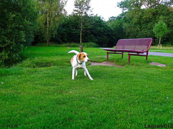 Leijpark013 Beestenboel 15 juni 2022