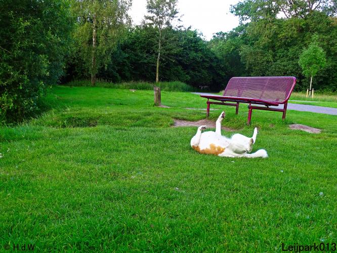 Leijpark013 Beestenboel 15 juni 2022