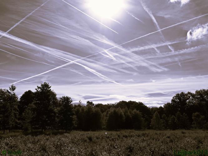 Leijpark013 6 t/m 9 juli 2022