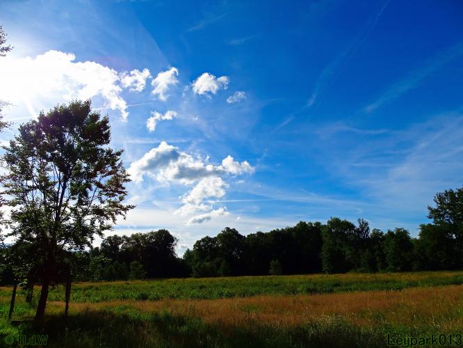 Leijpark013 6 t/m 9 juli 2022