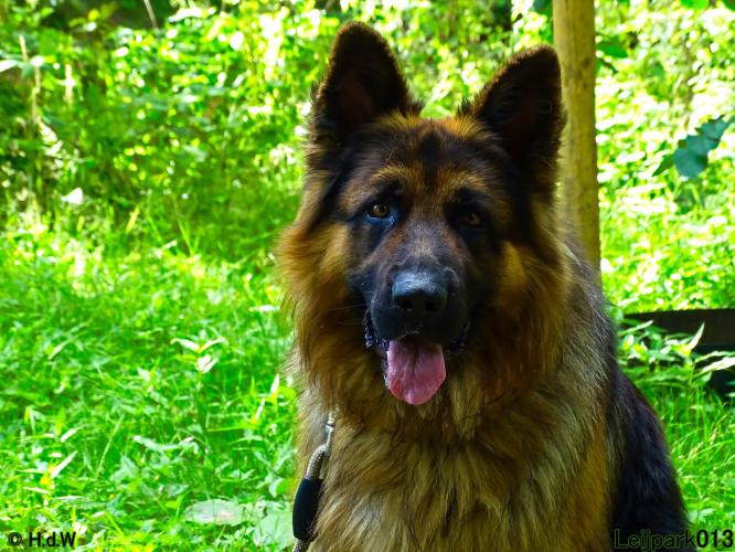 Leijpark013 Beestenboel 14 juli 2022