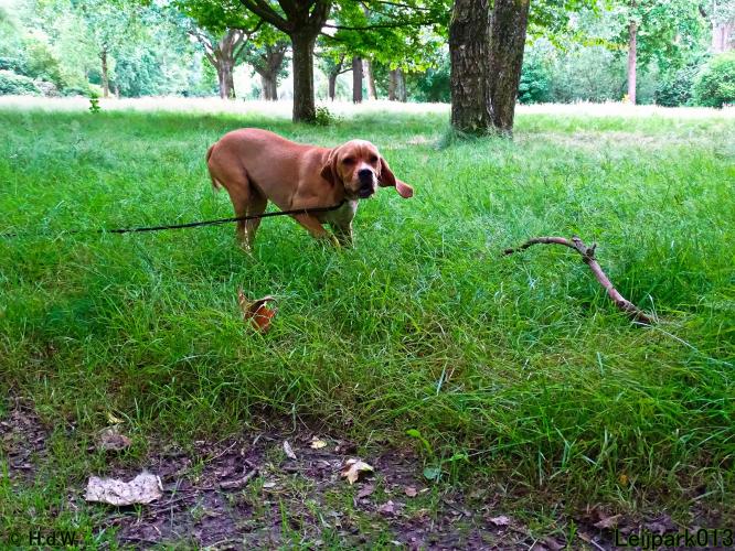 Leijpark013 Beestenboel 14 juli 2022