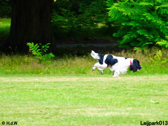 Leijpark013 Beestenboel 14 juli 2022