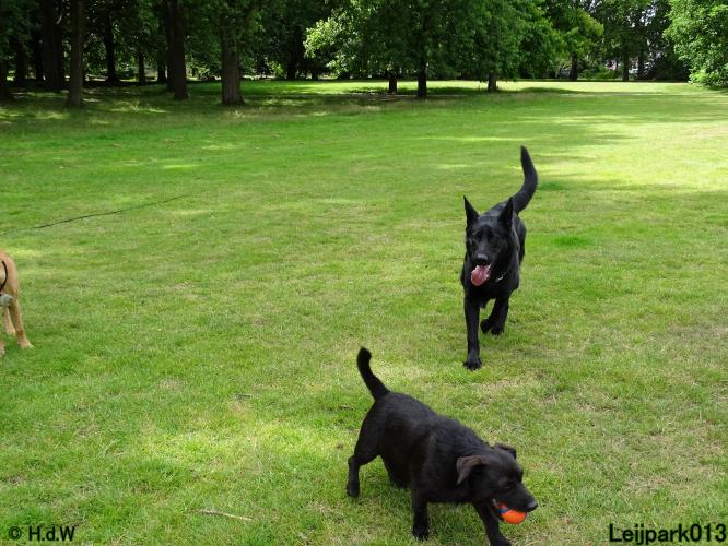 Leijpark013 Beestenboel 14 juli 2022