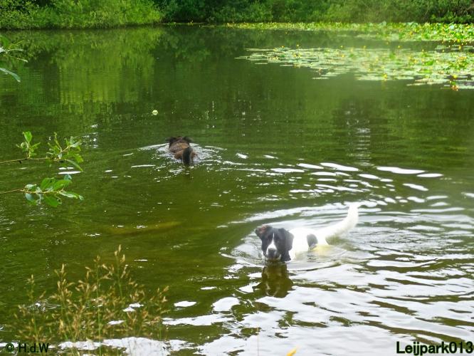 Leijpark013 Beestenboel 14 juli 2022