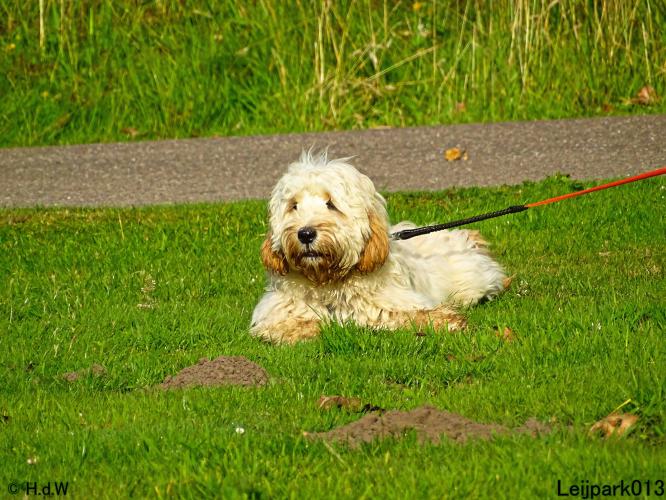 Leijpark013 Beestenboel 14 juli 2022
