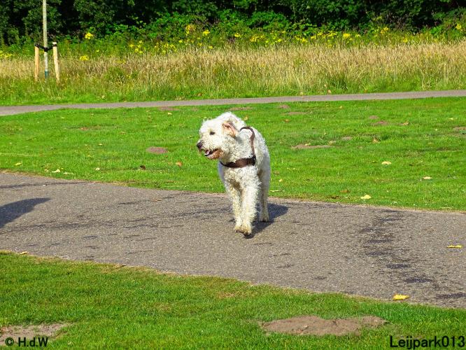 Leijpark013 Beestenboel 14 juli 2022