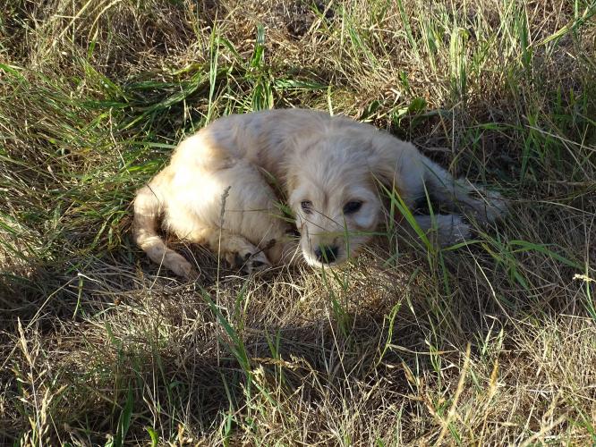 Leijpark013 Beestenboel 3 Augustus 2022