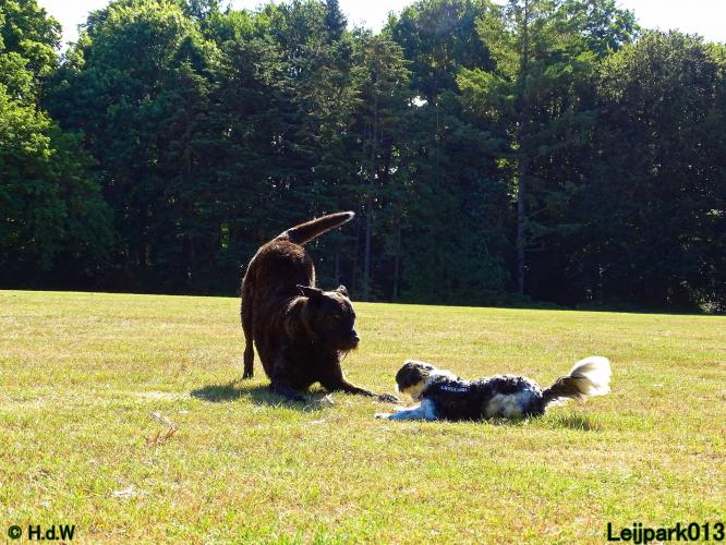Leijpark013 Beestenboel 3 Augustus 2022