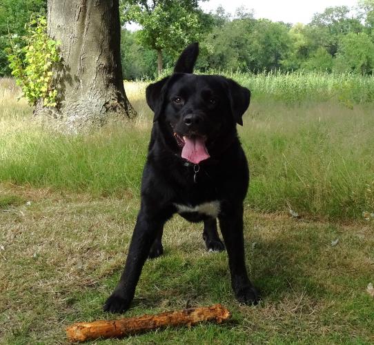 Leijpark013 Beestenboel 3 Augustus 2022