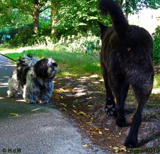 Leijpark013 Beestenboel 3 Augustus 2022