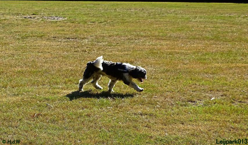 Leijpark013 Beestenboel 3 Augustus 2022