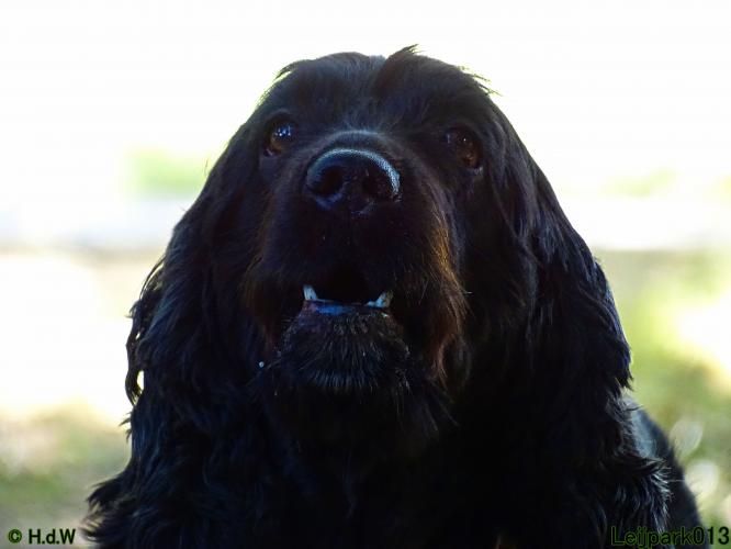 Leijpark013 Beestenboel 3 Augustus 2022