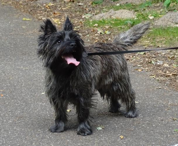 Leijpark013 Beestenboel 3 Augustus 2022