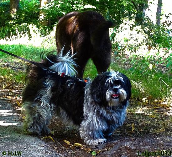 Leijpark013 Beestenboel 3 Augustus 2022