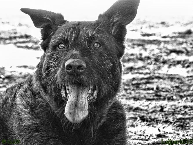 Leijpark013 Beestenboel 3 Augustus 2022