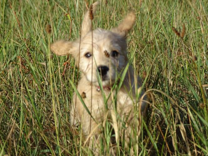 Leijpark013 Beestenboel 3 Augustus 2022