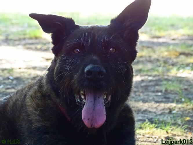 Leijpark013 Beestenboel 3 Augustus 2022