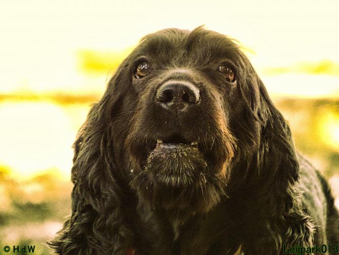 Leijpark013 Beestenboel 3 Augustus 2022