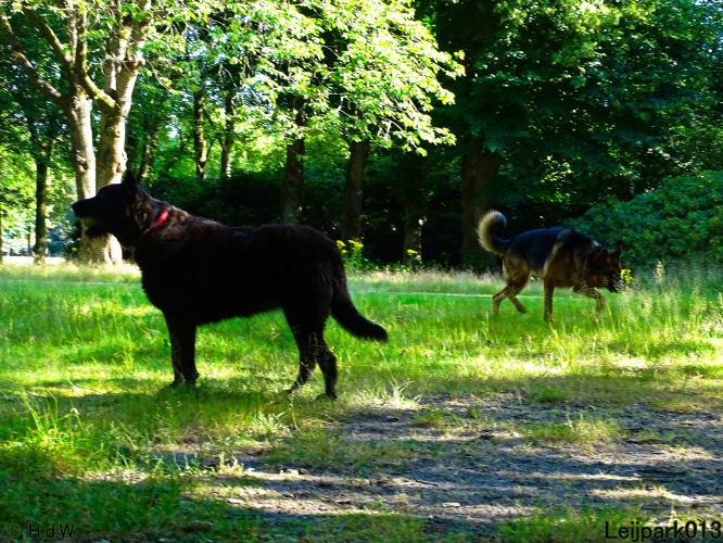 Leijpark013 Beestenboel 3 Augustus 2022