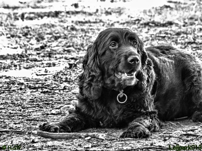 Leijpark013 Beestenboel 3 Augustus 2022