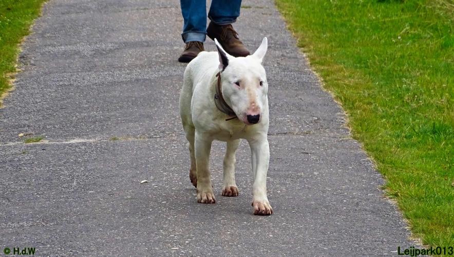 Leijpark013 Beestenboel 3 Augustus 2022