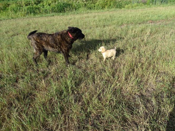 Leijpark013 Beestenboel 3 Augustus 2022