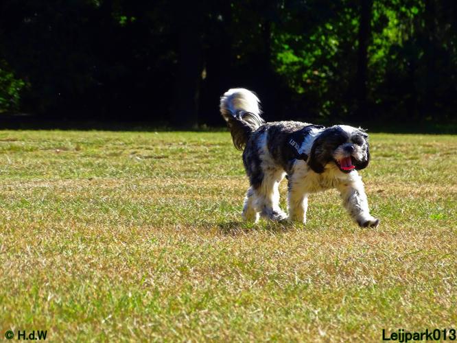 Leijpark013 Beestenboel 3 Augustus 2022