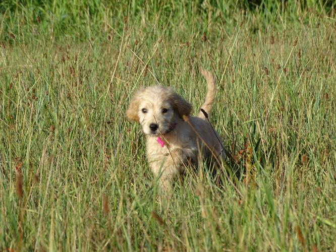 Leijpark013 Beestenboel 3 Augustus 2022