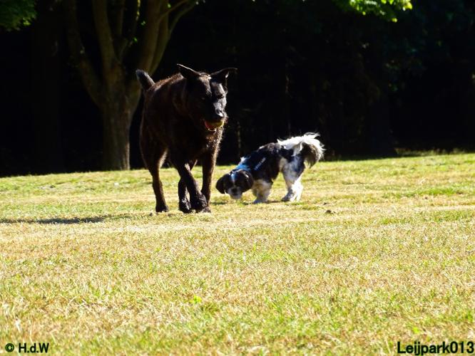 Leijpark013 Beestenboel 3 Augustus 2022