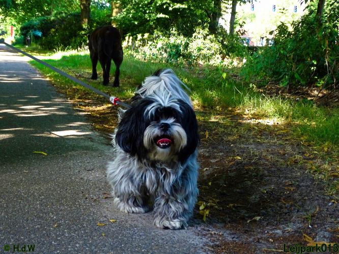 Leijpark013 Beestenboel 3 Augustus 2022