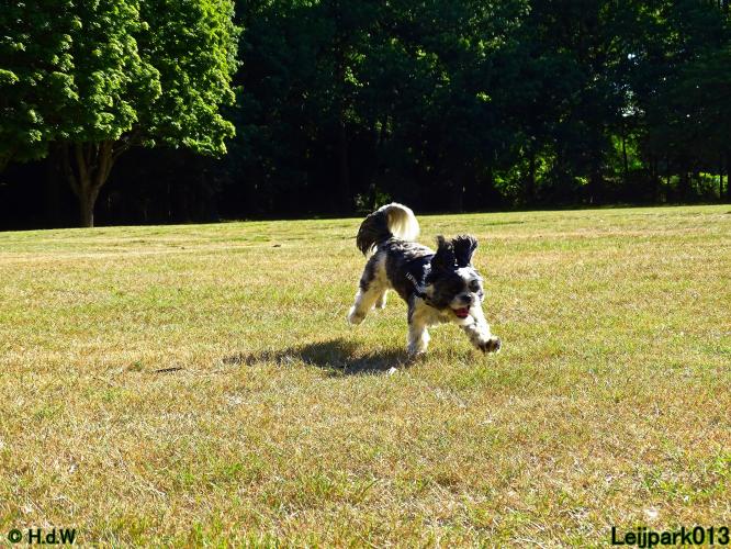 Leijpark013 Beestenboel 3 Augustus 2022