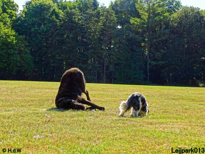 Leijpark013 Beestenboel 3 Augustus 2022
